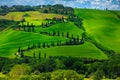 Gorgeous winding rural road with cypresses in Tuscany, Italy, Europe Royalty Free Stock Photo