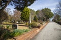 A gorgeous winter landscape along a footpath with bare winter trees, lush green trees, plants with flowers at the Oakland Cemetery