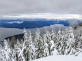 A gorgeous winter landscape on Cypress Mountain overlooking the ocean below Royalty Free Stock Photo