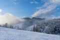 Gorgeous winter landscape in glowing fog. Marvelous nature scenery in mountains with spruce trees on a rolling snowy slopes