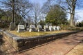 A gorgeous winter landscape in the graveyard with headstones, graves, bare winter trees, lush green trees, plants and flowers