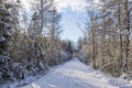 Gorgeous winter nature landscape view. Bend of country road and frosty forest trees.