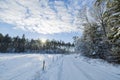 Gorgeous winter nature landscape view. Bend of country road and frosty forest trees.