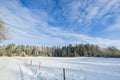 Gorgeous winter nature landscape view. Bend of country road and frosty forest trees.