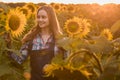 Gorgeous, young, adorable, female farmer standing in the middle of a green and golden sunflower field during a scenic sunrise Royalty Free Stock Photo