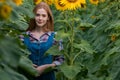 Gorgeous, young, adorable, red haired, female farmer standing in the middle of a green and golden sunflower field Royalty Free Stock Photo