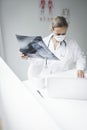 Pretty young doctor looking at x-rays in her doctor`s office Royalty Free Stock Photo