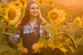 Gorgeous, young, female farmer standing in the middle of a beautiful green and golden sunflower field during a scenic sunrise Royalty Free Stock Photo