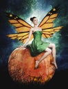 Gorgeous young woman as halloween pumpkin fairy