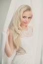 Gorgeous young woman/bride wearing a lovely dress Royalty Free Stock Photo