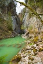 Gorges de la Jogne river canyon in Broc, Switzerland