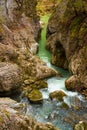 Gorges de la Jogne river canyon in Broc, Switzerland