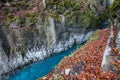 Gorges des Tines, France II