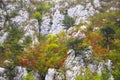 The Gorges of Tesna river.