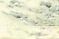 Gorgonzola blue blue cheese, traditional Italian delicacy close-up. Tasty food abstract background. Royalty Free Stock Photo