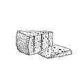 Gorgonzola blue cheese. Hand drawn sketch style drawing of traditional Italian local blue cheese. Vector illustration