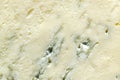 Gorgonzola blue blue cheese, traditional Italian delicacy close-up. Tasty food abstract background. Royalty Free Stock Photo