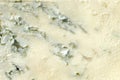 Gorgonzola blue blue cheese, traditional Italian delicacy close-up. Tasty food abstract background. Royalty Free Stock Photo