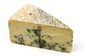 Gorgonzola cheese Royalty Free Stock Photo