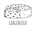 Gorgonzola cheese dairy food with mold sketch