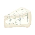 Gorgonzola cheese fresh organic dairy product vector illustration