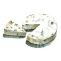 Gorgonzola cheese head watercolor illustration on white back