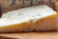 Gorgonzola picant and dolce Italian blue cheese, made from unskimmed cow's milk in North of Italy