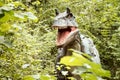 Gorgosaurus dinosaur in a green forest Royalty Free Stock Photo