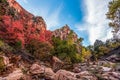 Gorgous landscape of Left Fork Trail to the Subway gorge, Zion NP