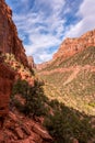 Gorgous landscape of Left Fork Trail to the Subway gorge, Zion NP