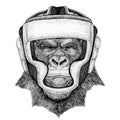 Gorilla, ape, monkey. Boxer animal. Vector illustration for t-shirt. Sport, fighter isolated on white background