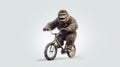 a gorilla baby on a bicycle in the street with the flowers