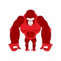 Gorilla big and scary. Strong red Angry monkey. Vector illustration animal on a white background. Royalty Free Stock Photo