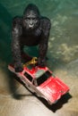 Gorilla Car Mechanic Concept Royalty Free Stock Photo