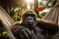 Gorilla chilling and having a good time