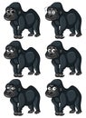 Gorilla with different emotions