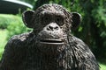 Gorilla head on a background of greenery.