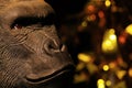 Gorilla head gold bokeh