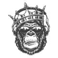 Gorilla head in monochrome style