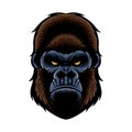 Gorilla Head