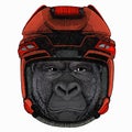 Gorilla head. Vector illustration. Wild animal portrait. Hockey helmet.