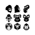 Gorilla head vector, monkey head vector, ape face logo