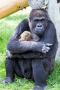 Gorilla Hug.