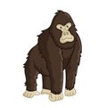 Gorilla icon. Isolated wild strong ape