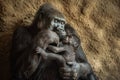 Gorilla and its baby Royalty Free Stock Photo