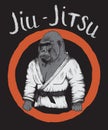 Gorilla is jiu-jitsu fighter. Royalty Free Stock Photo