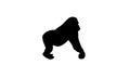 Gorilla logo design animal monkey symbol icon zoo