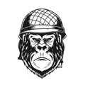 Gorilla with military helmet
