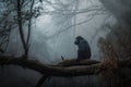 gorilla in the misty forest, sitting on a tree branch