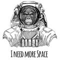 Gorilla, monkey, ape Frightful animal Astronaut. Space suit. Hand drawn image of lion for tattoo, t-shirt, emblem, badge